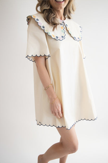 Embroidered Peter Pan Collar Mini Dress